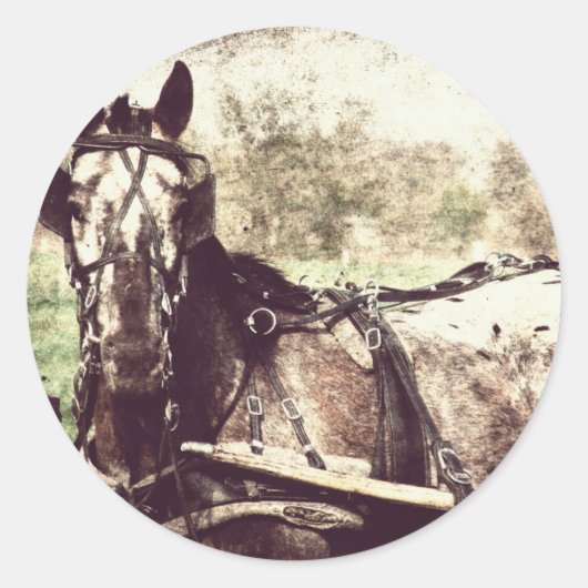 Appaloosa Horse Ronde Sticker (Voorkant)
