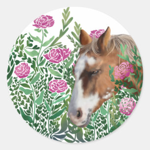 Appaloosa Horse Roos Sticker