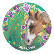 Appaloosa Horse Roos Sticker