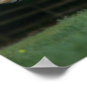 Appaloosa Horse Running 1 Poster (Hoek)