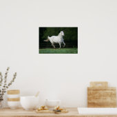 Appaloosa Horse Running 1 Poster (Keuken)