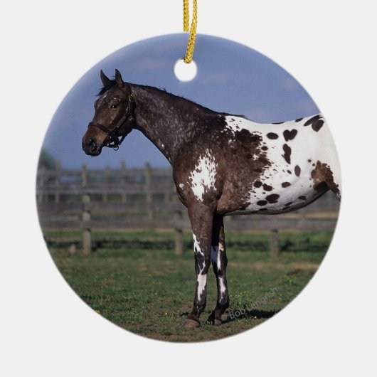 Appaloosa Horse Standing Keramisch Ornament (Voorkant)