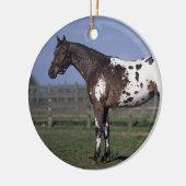 Appaloosa Horse Standing Keramisch Ornament (Links)