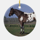 Appaloosa Horse Standing Keramisch Ornament (Achterkant)