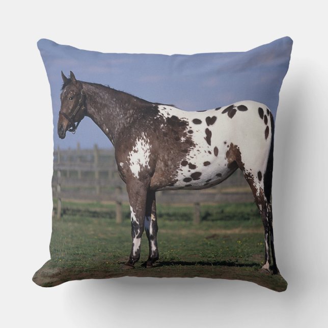 Appaloosa Horse Standing Kussen (Voorkant)
