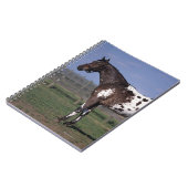Appaloosa Horse Standing Notitieboek (Linkerzijde)