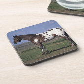 Appaloosa Horse Standing Onderzetter (Linkerzijde)