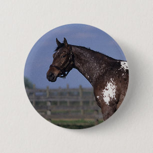 Appaloosa Horse Standing Ronde Button 5,7 Cm