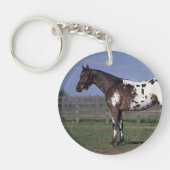 Appaloosa Horse Standing Sleutelhanger (Voorkant)