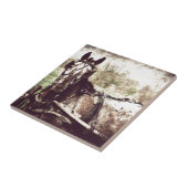 Appaloosa Horse Tegeltje (Zijkant)