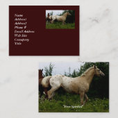 Appaloosa Horse Visitekaartje (Voorkant / Achterkant)