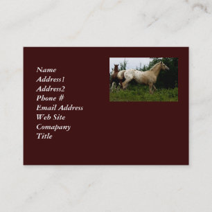 Appaloosa Horse Visitekaartje