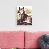 Appaloosa in harnas canvas afdruk (Insitu (Woonkamer))