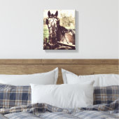 Appaloosa in harnas canvas afdruk (Insitu (Slaapkamer))