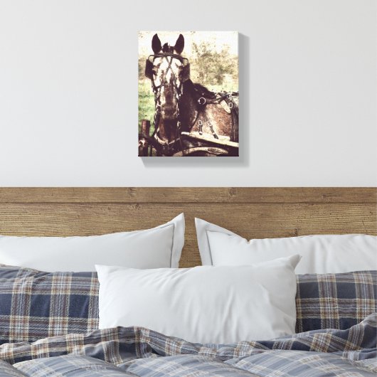 Appaloosa in harnas canvas afdruk (Insitu (Slaapkamer))