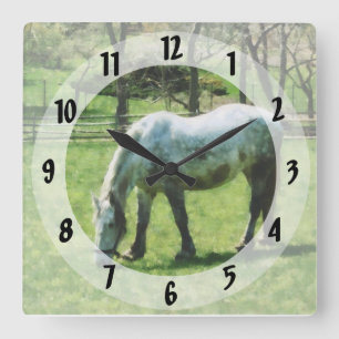 Appaloosa in Weiland Vierkante Klok