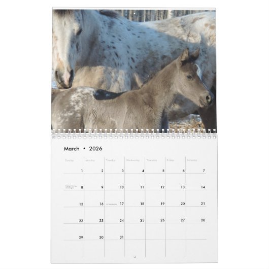 Appaloosa Kalender (Mar 2026)
