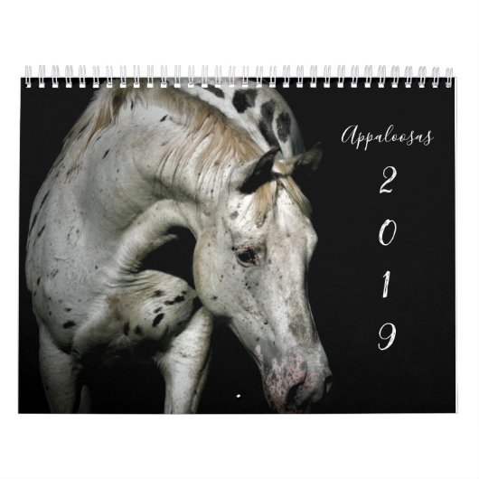 Appaloosa Kalender (Hoes)