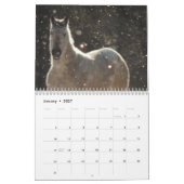 Appaloosa Kalender (Jan 2027)