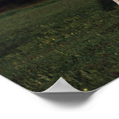 Appaloosa Mare And Foal in Field Poster (Hoek)