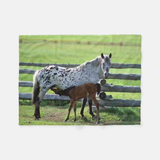 Appaloosa Mare en Colt Horse Fleece Deken (Voorkant (Horizontaal))