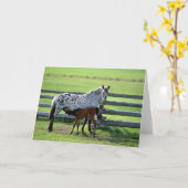 Appaloosa Mare en Colt Horse Kaart (Gele Bloem)