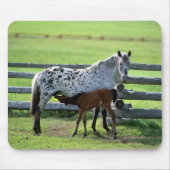 Appaloosa Mare en Colt Horse Muismat (Voorkant)