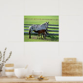 Appaloosa Mare en Colt Horse Poster (Keuken)