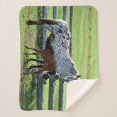 Appaloosa Mare en Colt Horse Sherpa Deken (Voorkant)