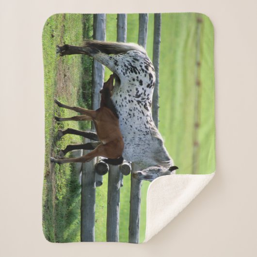 Appaloosa Mare en Colt Horse Sherpa Deken (Voorkant)