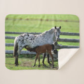 Appaloosa Mare en Colt Horse Sherpa Deken (Voorkant (horizontaal))