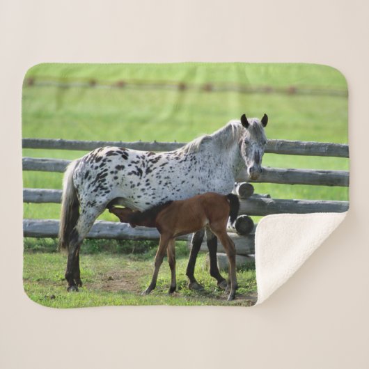 Appaloosa Mare en Colt Horse Sherpa Deken (Voorkant (horizontaal))