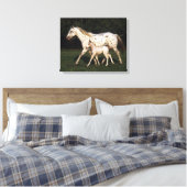 Appaloosa Mare en Foal in het veld Canvas Afdruk (Insitu (Slaapkamer))