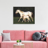 Appaloosa Mare en Foal in het veld Canvas Afdruk (Insitu (Woonkamer))