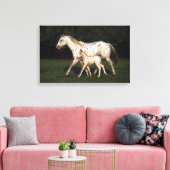 Appaloosa Mare en Foal in het veld Canvas Afdruk (Insitu (Woonkamer))