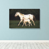 Appaloosa Mare en Foal in het veld Canvas Afdruk (Insitu (Houten vloer))