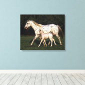 Appaloosa Mare en Foal in het veld Canvas Afdruk (Insitu (Houten vloer))