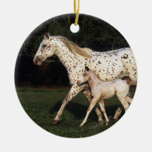 Appaloosa Mare en Foal in het veld Keramisch Ornament