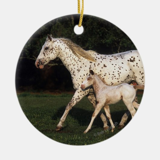 Appaloosa Mare en Foal in het veld Keramisch Ornament (Voorkant)