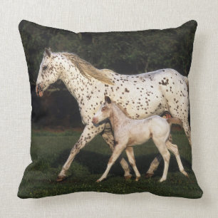 Appaloosa Mare en Foal in het veld Kussen