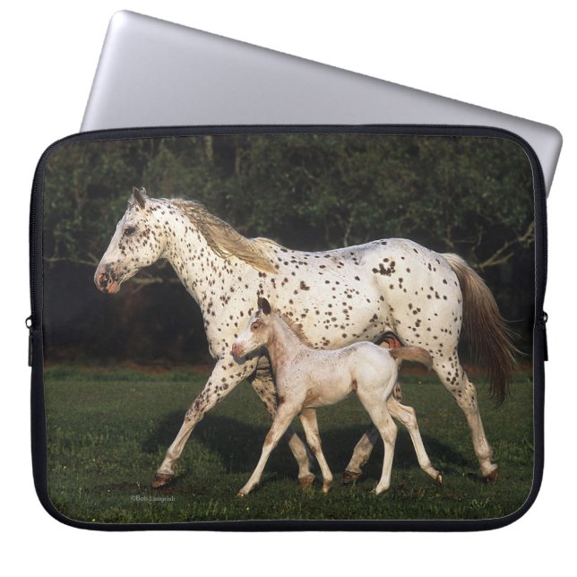 Appaloosa Mare en Foal in het veld Laptop Sleeve (Voorkant)