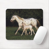 Appaloosa Mare en Foal in het veld Muismat (Met muis)