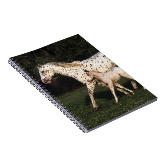 Appaloosa Mare en Foal in het veld Notitieboek (Rechterzijde)