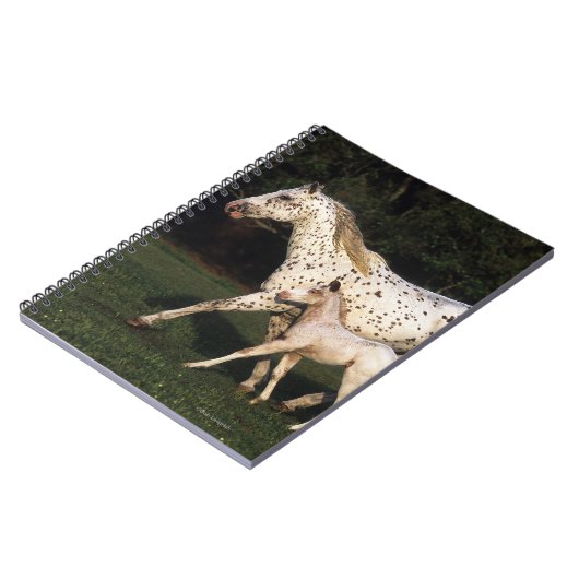 Appaloosa Mare en Foal in het veld Notitieboek (Linkerzijde)