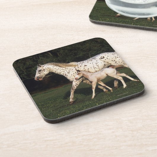 Appaloosa Mare en Foal in het veld Onderzetter (Linkerzijde)