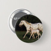 Appaloosa Mare en Foal in het veld Ronde Button 5,7 Cm (Voorkant /achterkant)