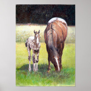 Appaloosa Mare en Foal Portrait Poster