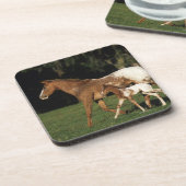 Appaloosa-mare en -slachtafvallen bier onderzetter (Linkerzijde)