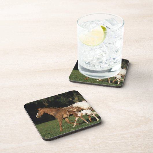 Appaloosa-mare en -slachtafvallen bier onderzetter (Rechterzijde)