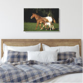 Appaloosa-mare en -slachtafvallen canvas afdruk (Insitu (Slaapkamer))